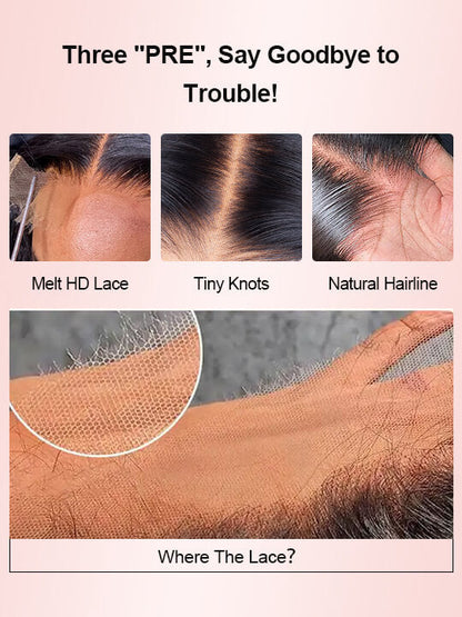 Gray Skunk Stripe Wig Highlights 3D Body Wave 13x4 HD Lace Front Human Hair Wigs